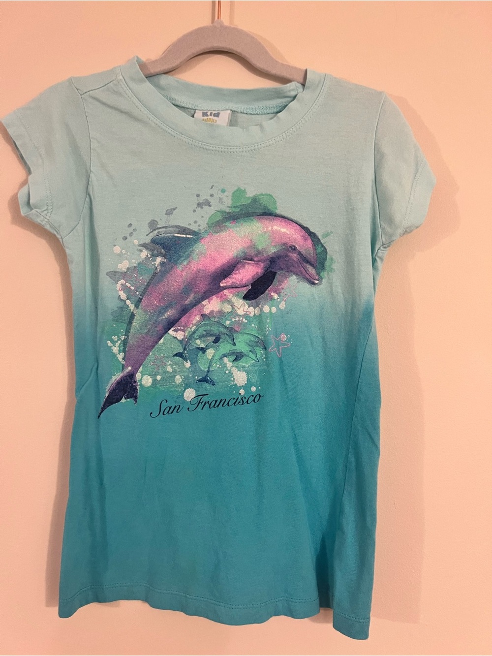 San Francisco Dolphin Graphic Tee - Aqua Ombre Kids Shirt